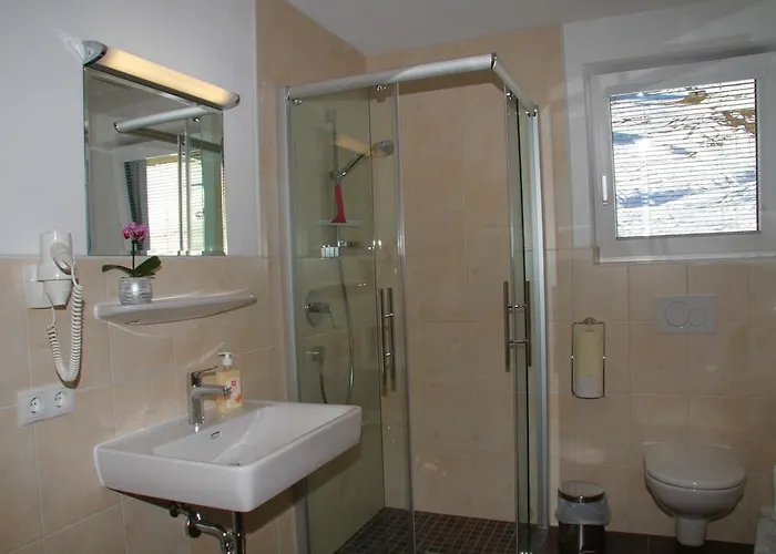 Apart Alpin Apartment Tux